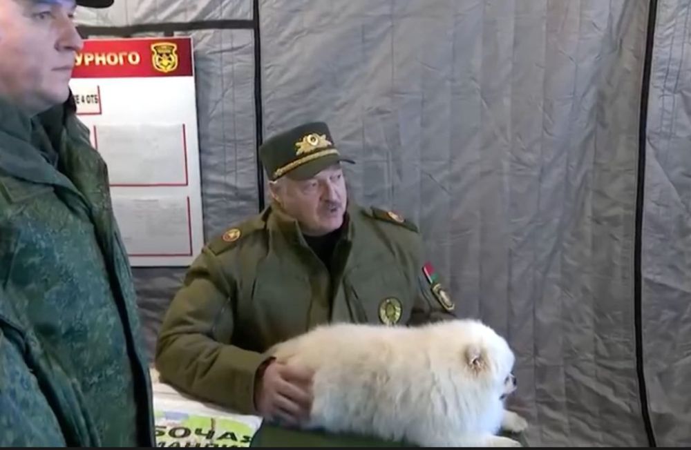 ���� ��������� ���������������� ������� ������ � ����������