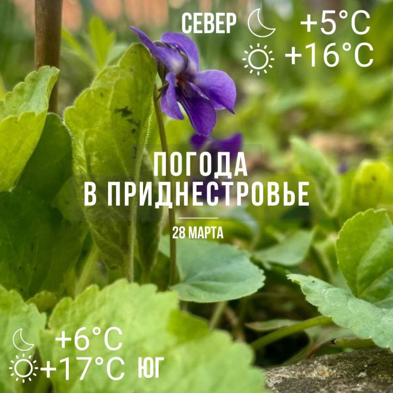 �� ������. ������� � �� +17��