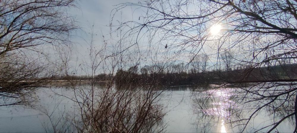 ������� ����. ������ ��������. ����� ������������ ��� ���������� ����� 900 ���������� ���� � �������