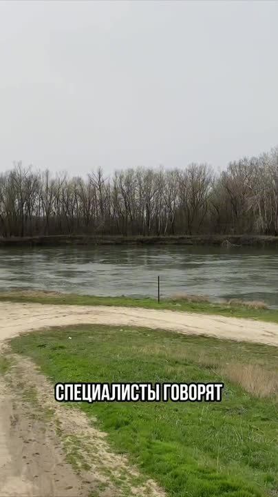 � ������ ��������� � �������� ������ ��������