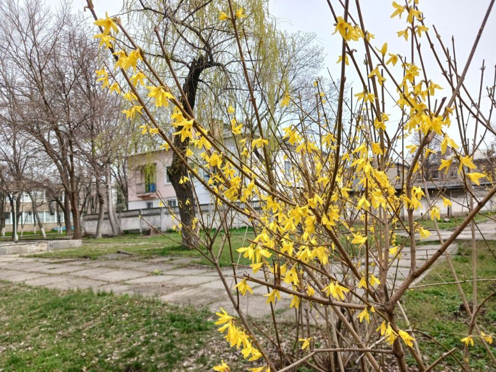 ��� �������� ��������� ����� �� ����� �� � ��, 29 ����� ��������� ���������� ����������, ��� ������������ �������