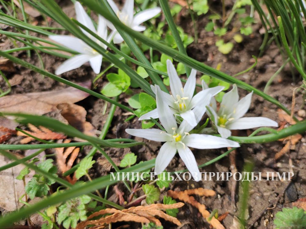 ������� ������. �������,28 �����, ��������� ���������� ����������, ��� �������