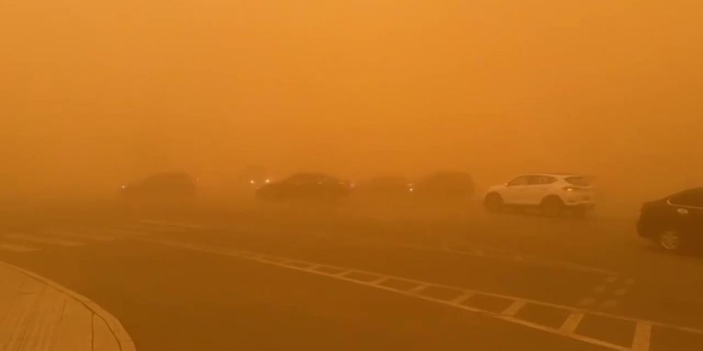 �������� "����"? �������� ������� ������ �������� ����� ����� � ���� ����� ������