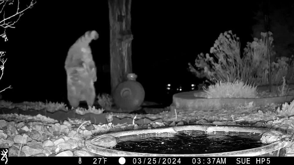 ���� ����� ������� � ���� � ��� �� �������� �����