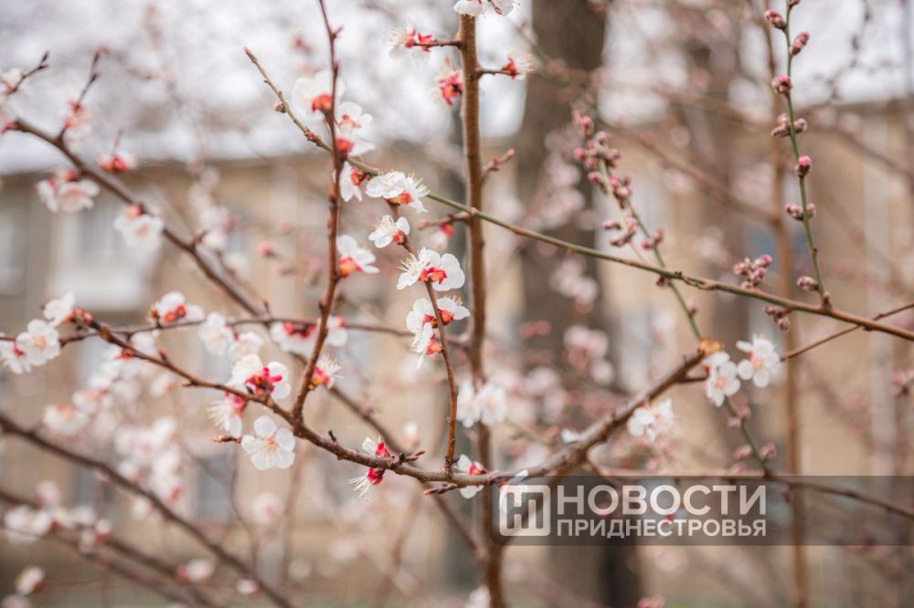 ������ �������� � ����� ������ ������