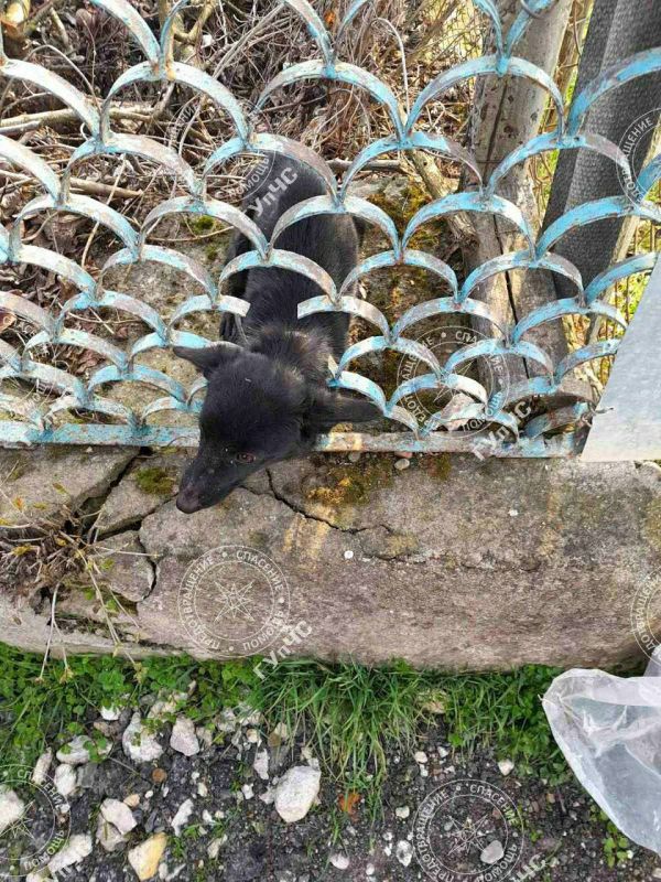 � ������� ��������� ��������� ������, ���������� ������� � ������������� ������