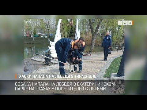 ������ ������ ����� ������ �� ������ � �������������� ����� �� ������ � �������� � ������. �������� ������� �� ������� �...