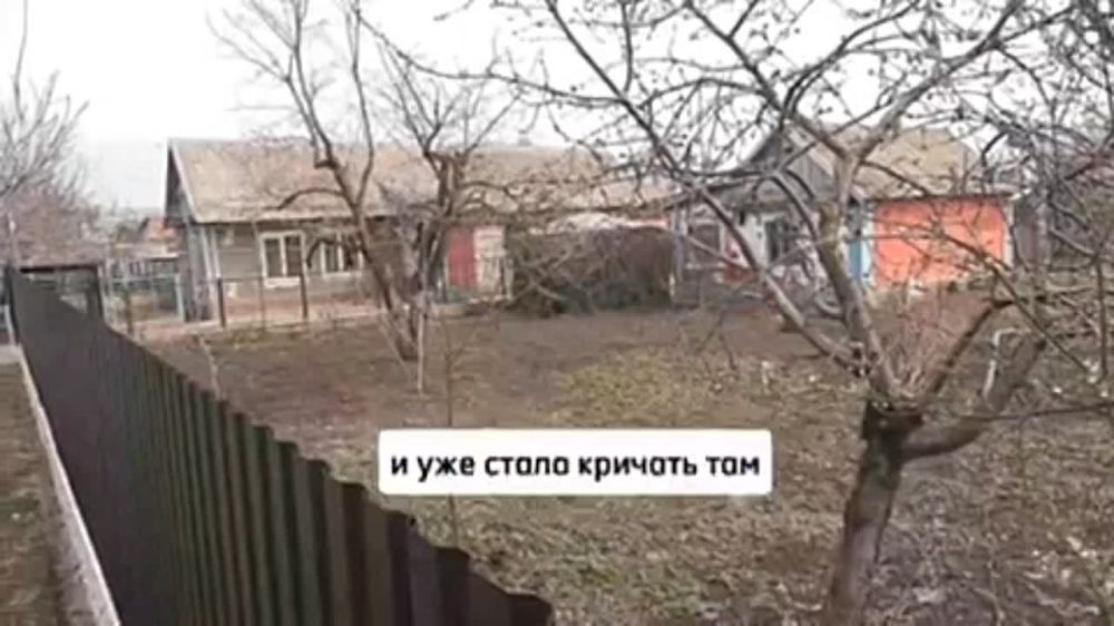 ���� �� ������ �������� ������ � �������� �� ��������. �������: "��������!"�