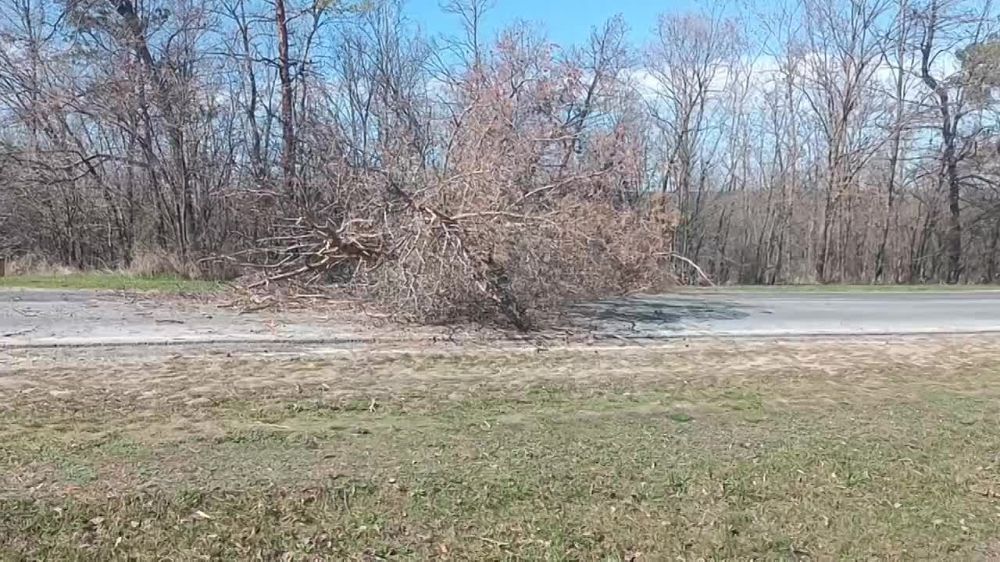 �� ��������� ������ � �������� �� ���� ����� ��-�� �������� ����� ����� ������