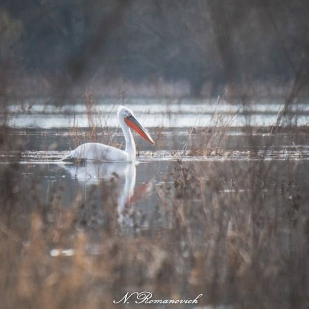 ���� �������� ��������� �������� � ������������ ���������������