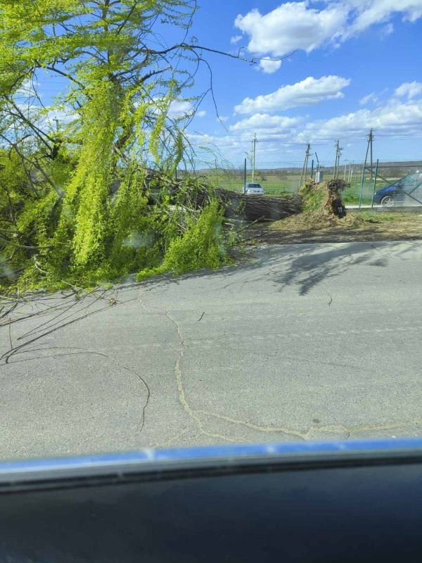 �� ����� ������ ����� ��������� � ����������