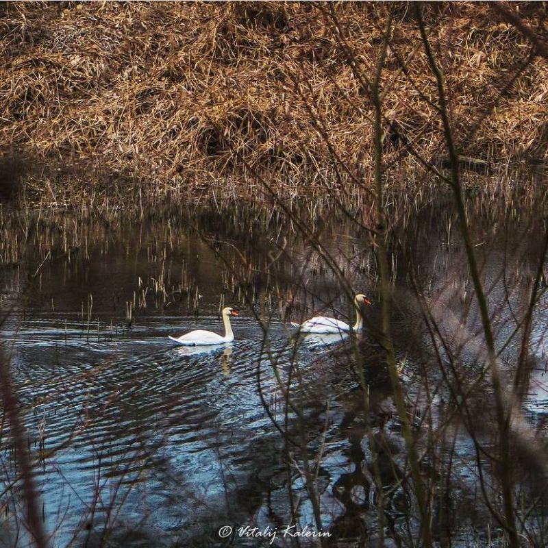 ��������� �� �������.. ���� ������� ��������