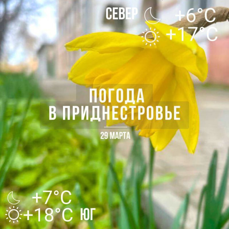 ������� �����. ��� �������