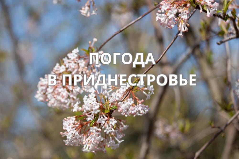 29 ����� ��������� ���������� ����������, ��� ������������ �������