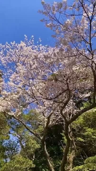 � ������ ������� ������. �����, � ���� ���� ������� ������������ ����� ��������