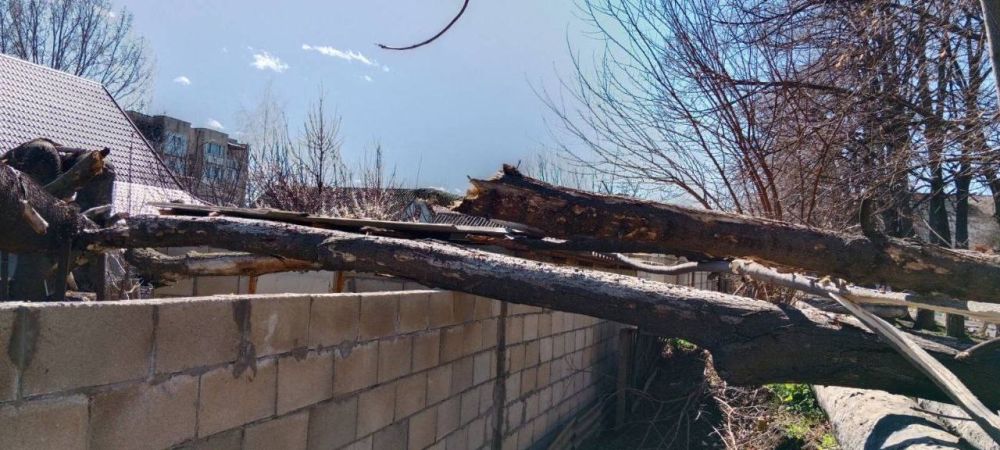 ��� ������ ������� �������� � ����� �4 � ����������