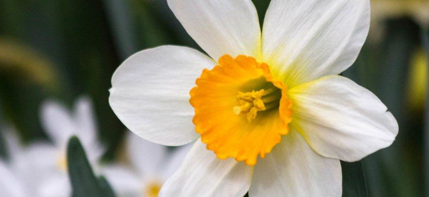 ������ ������� ������: � ������ ���� ������, ���� � �� 18 �������� �����