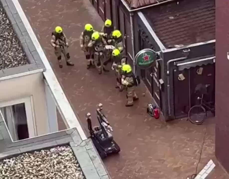 ��������� ������ ����� �� �����������, ��� ��������� ������ ����������