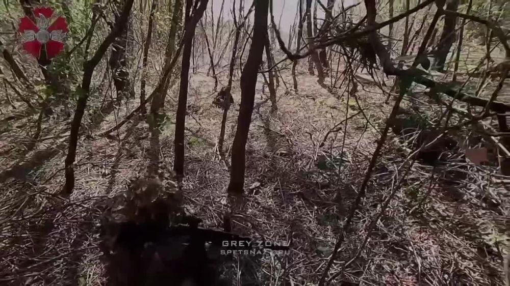 ���������� �������� ����� �������� 2023 ����