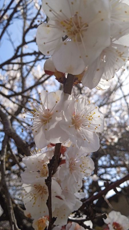 ����� � �������