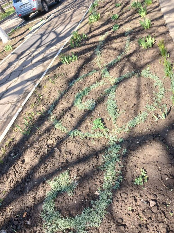 ����� ����������� ����� N1 � ������ ����������