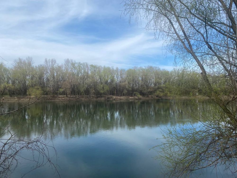 ��������������� �������