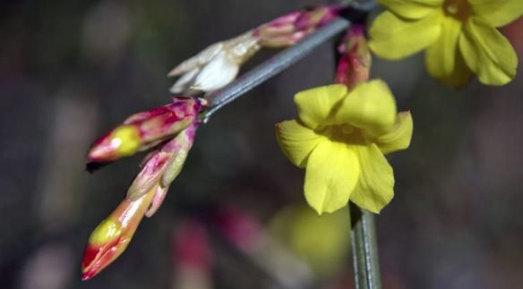 30 ����� � ������ � �������� �������, ����� � �����