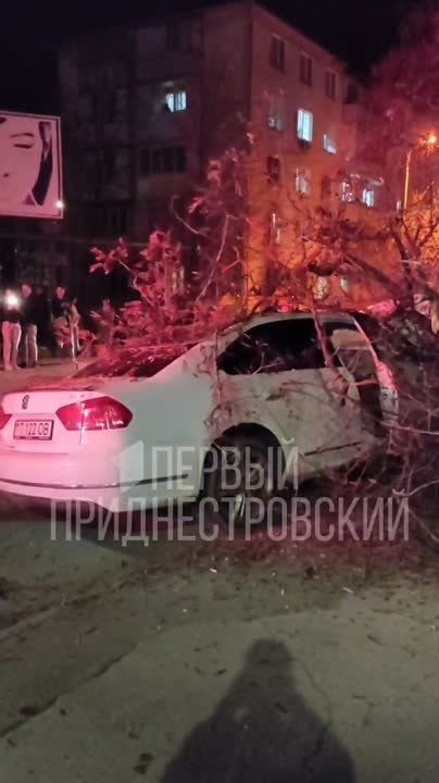 ������ � ���������� �������� � ���������