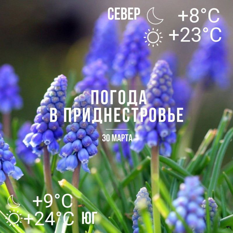 ������� ����� ����. ���� � �� +24��