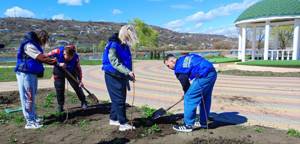 � ��������� ������������ ������� � ����� ����������� �������� 80 �����