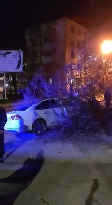 ������ � ���������� �������� � ���������, �������� ��������� �������� ��� �������� � ������� �������� ���� ���������� ��������, ���� ������� ������ � ���� ������� ���������