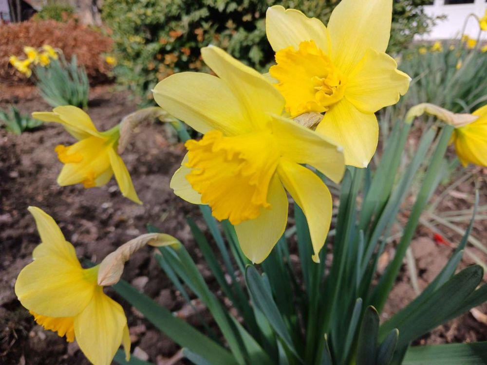 ������� �������� ������ � �����