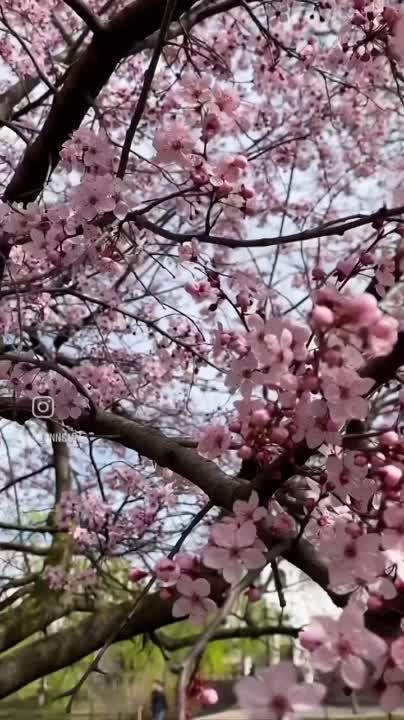 ����� �� �� ����� �����!