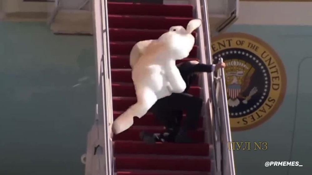 ���������� ������ ������� �������� ����: �� ��� ��������� �������� ������ ������� �� ���������� ����������� ����������� ���� ������������