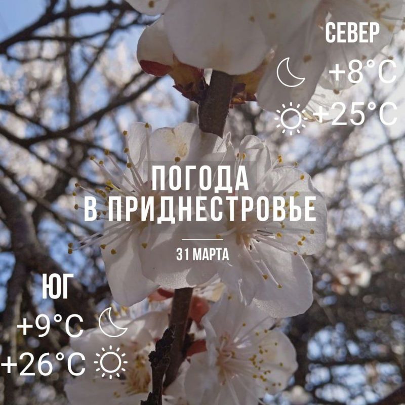 ����� ����. ���� � �� +26��. ��� �������