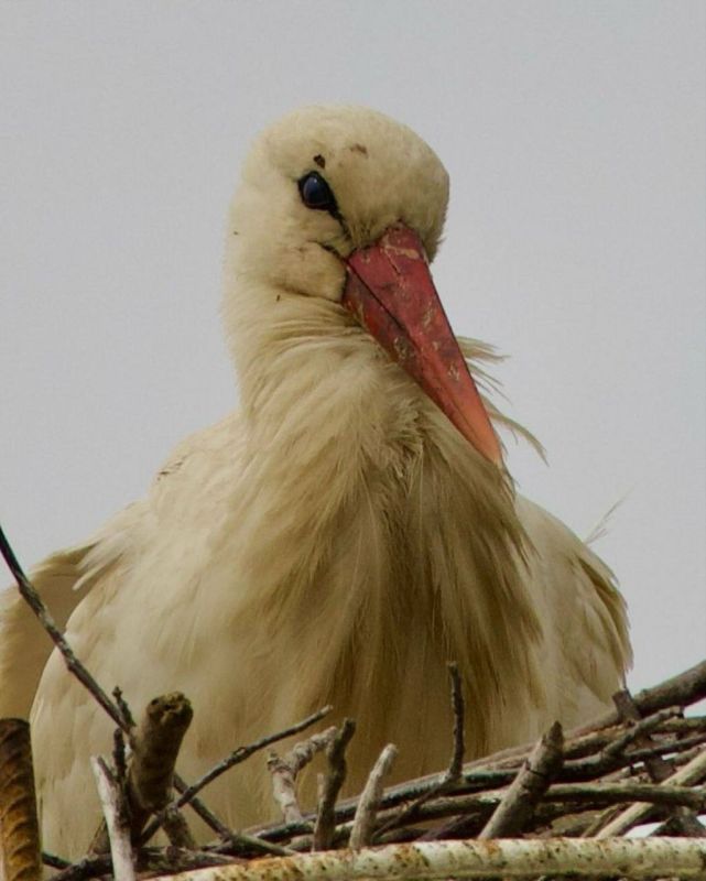 ����� � �������������.. ������, ������� ������������� ���� ����