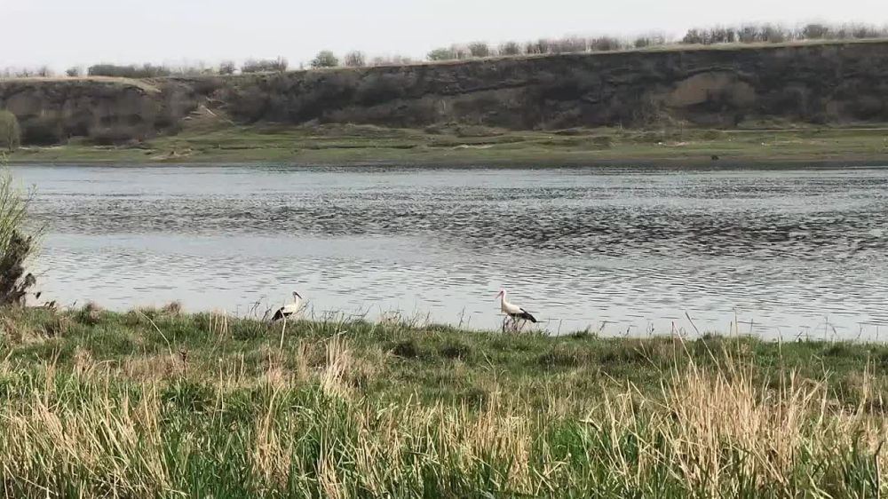 �������� ����� � ������� � �������