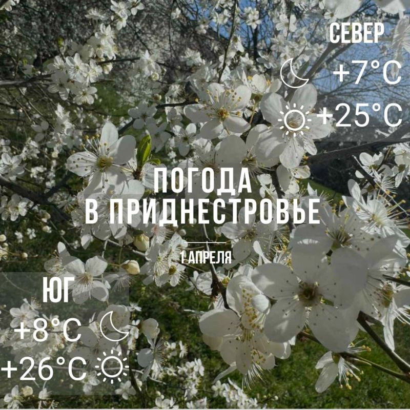 ���� � �� +26��. ��� �������