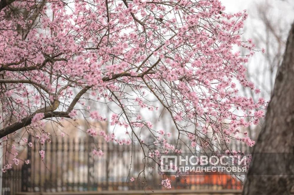 ��������� ����������