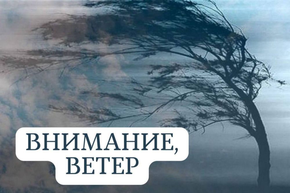 �� ������ ��������������, ���� 2 ������ �� ���������� ��������� �������� ��������� ����� �������� �� 15-20 ������ � �������