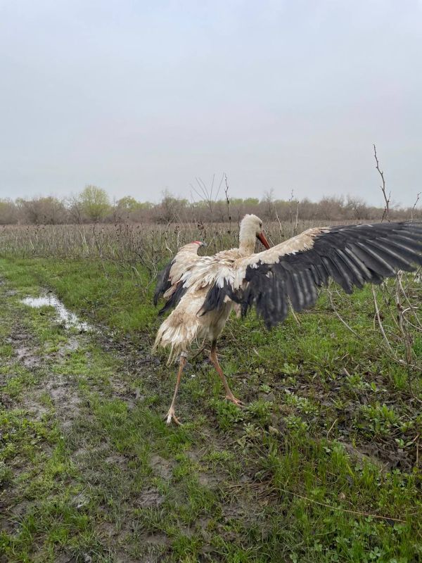 ���� ���� ������ ��������������� � ����� ����������, ���������� ������, �� �� ��������