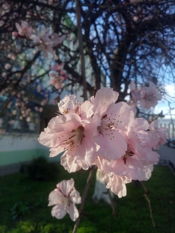 ��������� ����������� ������