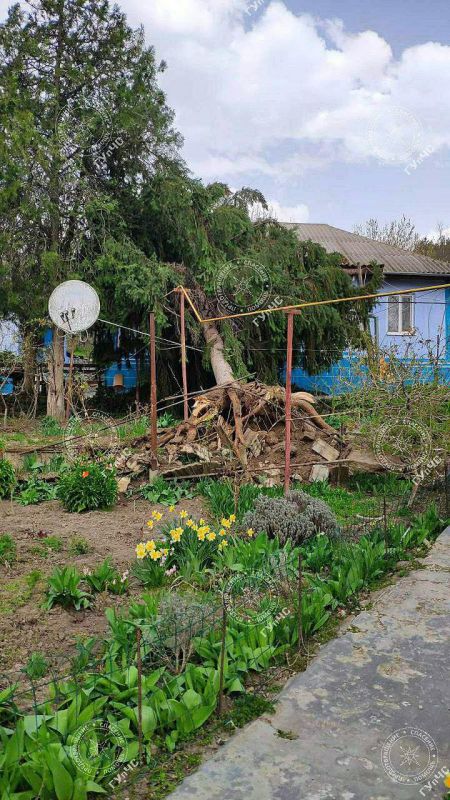 �������� ������ ����� �� ����� ��� � ���� ������ ��-�� �������� �����, ������� 90 ��� �� ����������