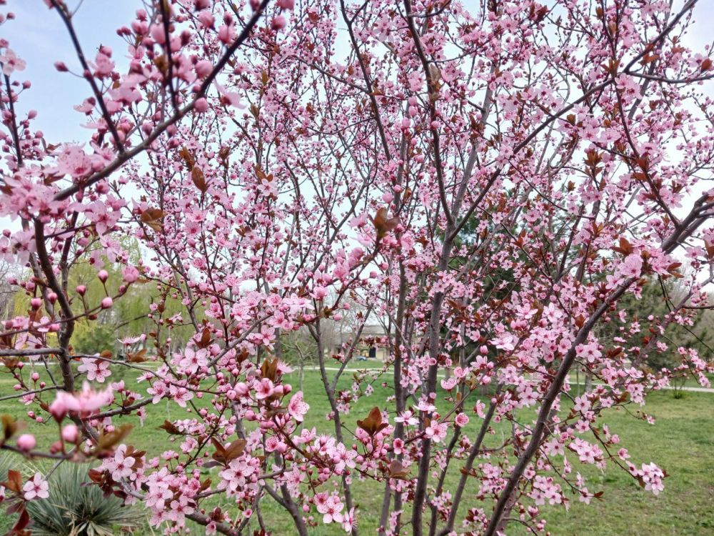 ���� � �������� �������� ������