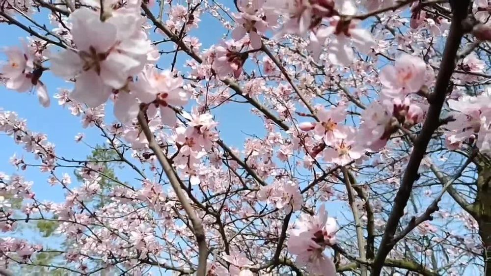 ����� ������� ������ � ����������� � ���������