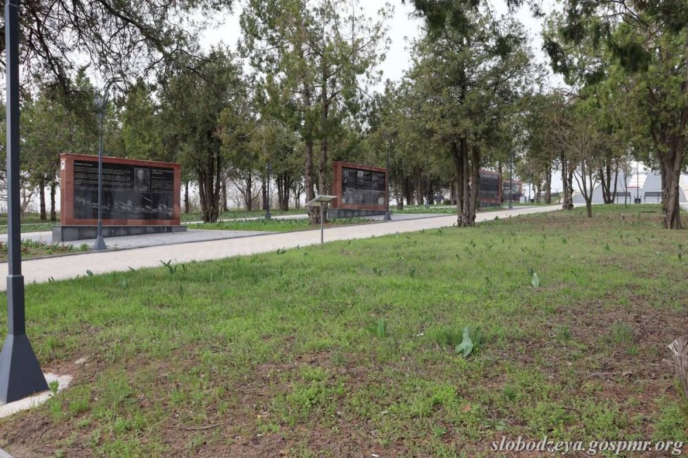 40 ����� � 40 �������� ����� ������� �� ���������� ���������