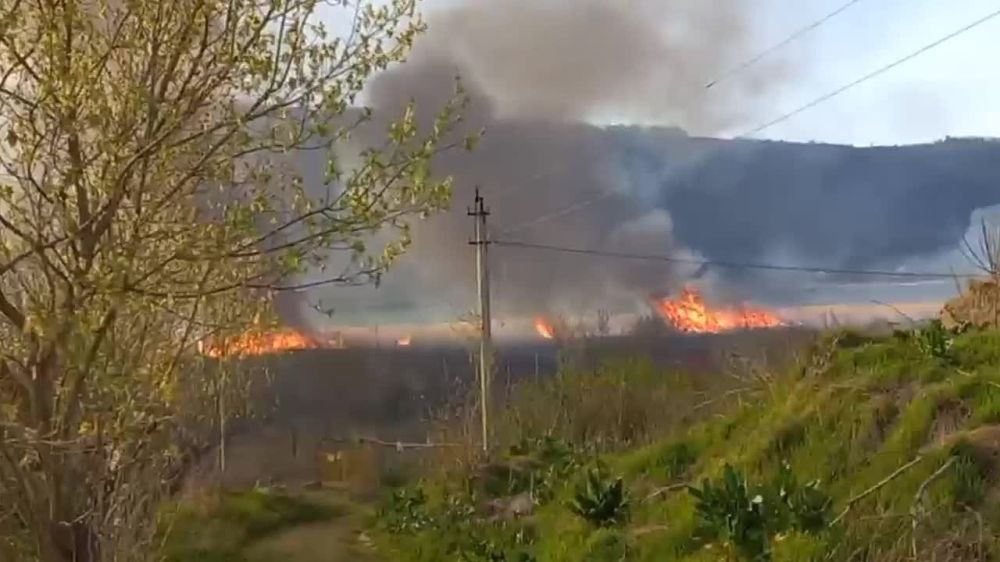 ������� � ��������� �������, � ������� ����� ������ � ����, ����� �����, ����� ����� ���������.