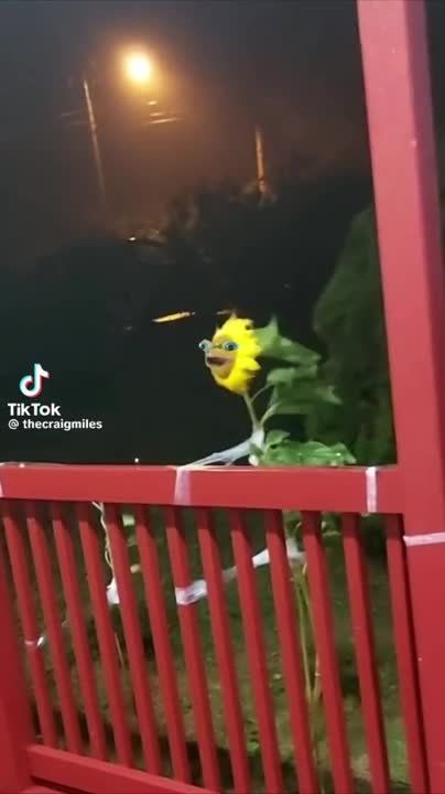 ��������� ��������������!