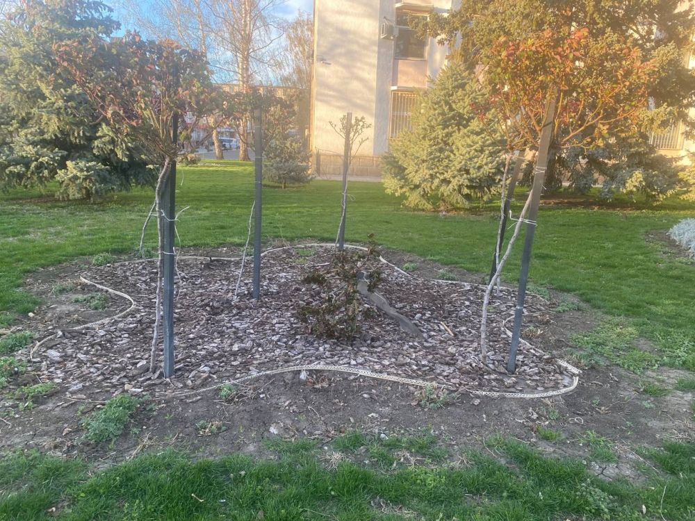 � ������ ������ ����� ��� ������� ��������� ���