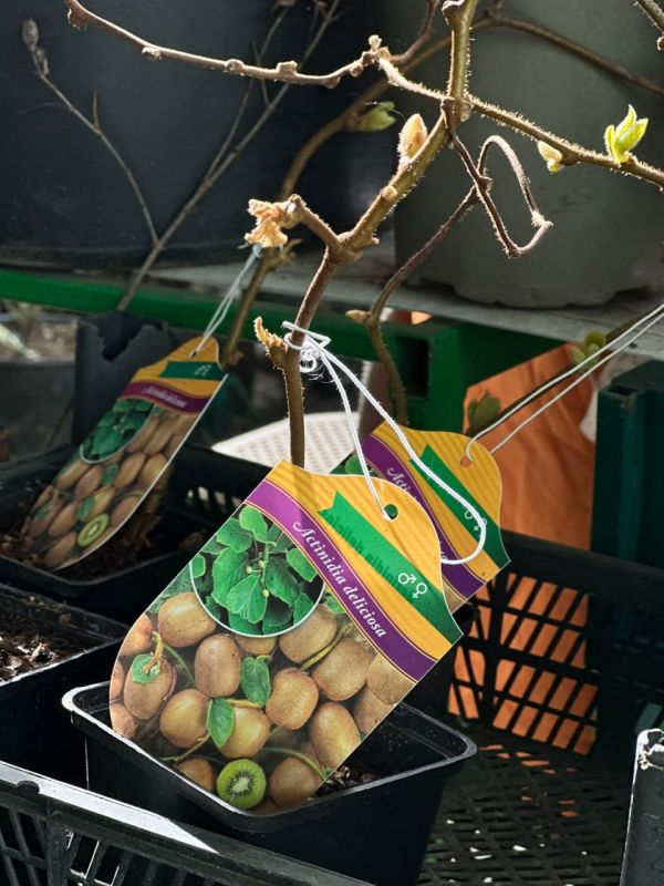 � ������������� � ������� ������� ����